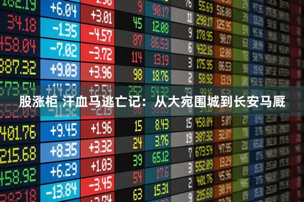 股涨柜 汗血马逃亡记：从大宛围城到长安马厩