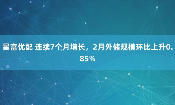 星富优配 连续7个月增长，2月外储规模环比上升0.85%