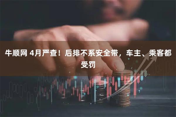 牛顺网 4月严查！后排不系安全带，车主、乘客都受罚