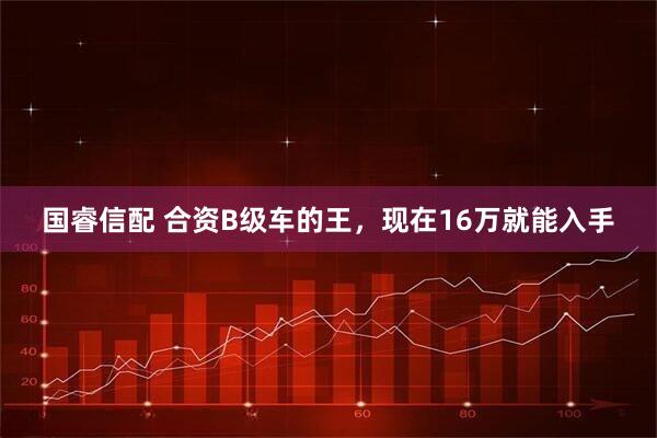 国睿信配 合资B级车的王，现在16万就能入手
