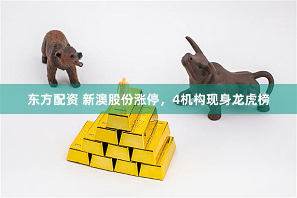 东方配资 新澳股份涨停，4机构现身龙虎榜