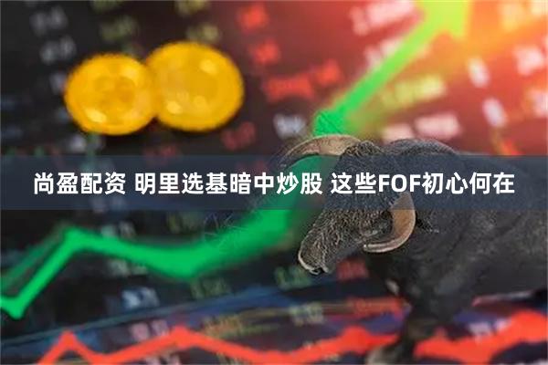 尚盈配资 明里选基暗中炒股 这些FOF初心何在