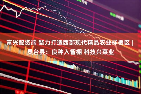 富兴配资端 聚力打造西部现代精品农业样板区 | 灵台县：良种入智棚 科技兴菜业