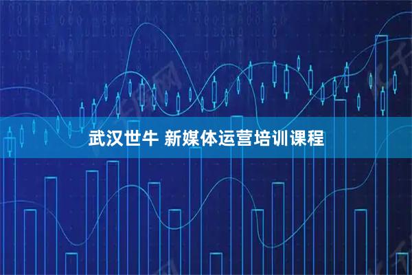 武汉世牛 新媒体运营培训课程