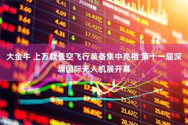 大金牛 上万款低空飞行装备集中亮相 第十一届深圳国际无人机展开幕