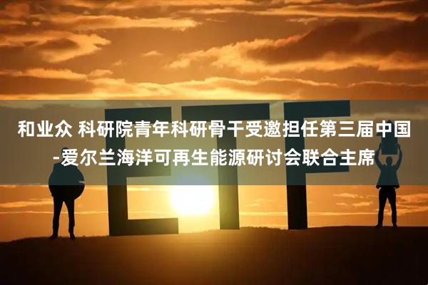 和业众 科研院青年科研骨干受邀担任第三届中国-爱尔兰海洋可再生能源研讨会联合主席