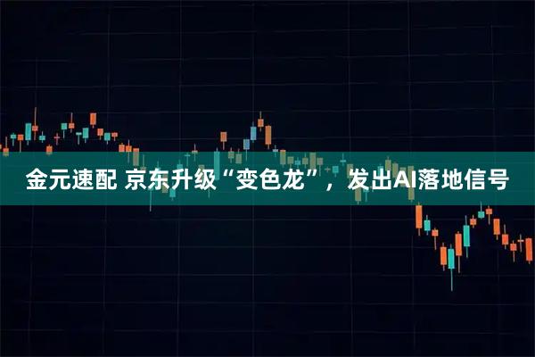 金元速配 京东升级“变色龙”，发出AI落地信号