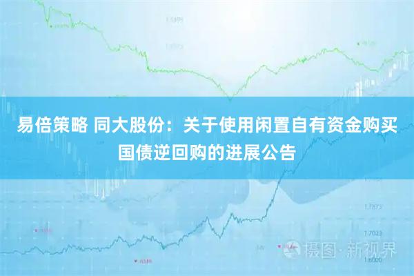 易倍策略 同大股份：关于使用闲置自有资金购买国债逆回购的进展公告