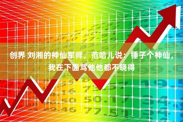 创界 刘湘的神仙军师，范哈儿说：锤子个神仙，我在下面骂他他都不晓得