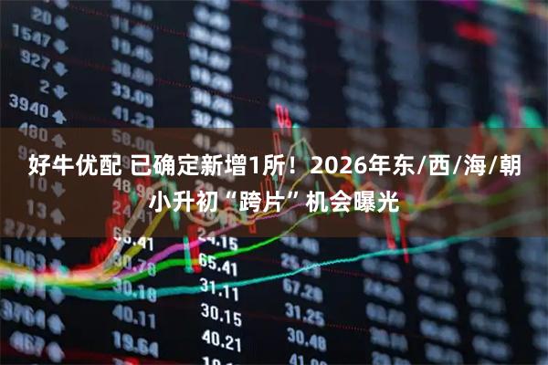 好牛优配 已确定新增1所！2026年东/西/海/朝小升初“跨片”机会曝光