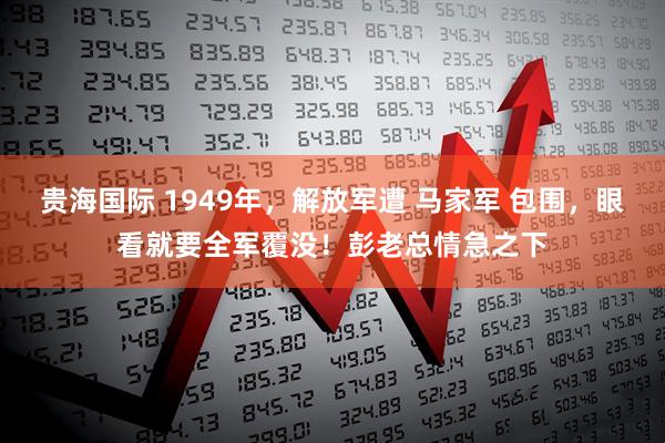 贵海国际 1949年,解放军遭 马家军 包围,眼看就要全军覆没!彭老总情急之下