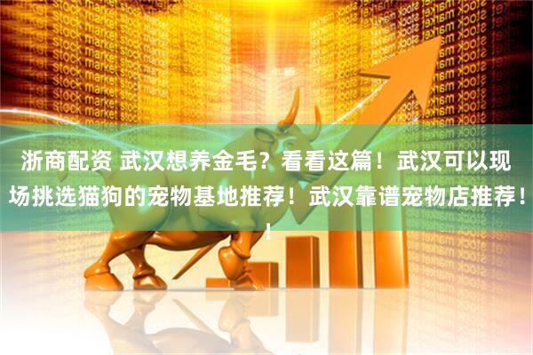 浙商配资 武汉想养金毛?看看这篇!武汉可以现场挑选猫狗的宠物基地推荐!武汉靠谱宠物店推荐!