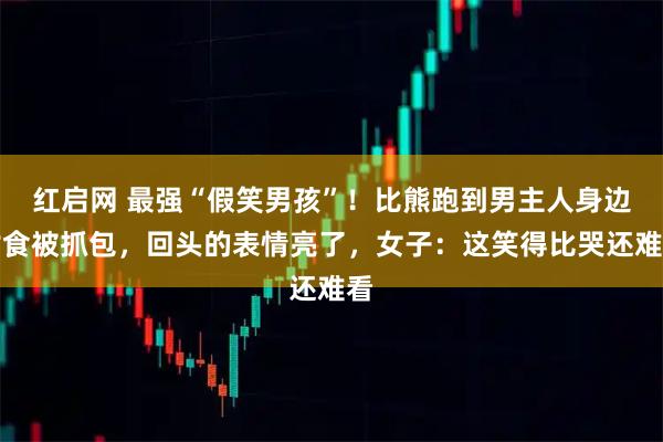 红启网 最强“假笑男孩”!比熊跑到男主人身边讨食被抓包,回头的表情亮了,女子:这笑得比哭还难看