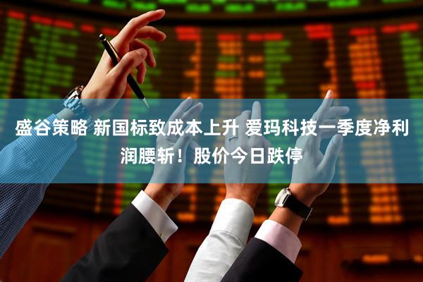 盛谷策略 新国标致成本上升 爱玛科技一季度净利润腰斩！股价今日跌停