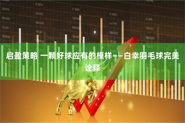 启盈策略 一颗好球应有的模样——白幸羽毛球完美诠释